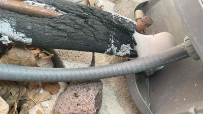 Frozen Line Set Photo