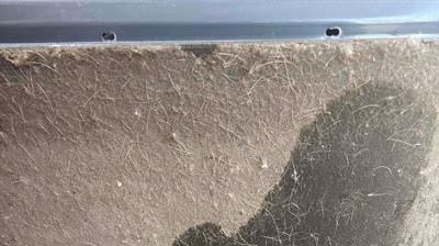 Let the cleaning begin Photo