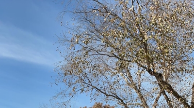 Furnace Inspection Photo