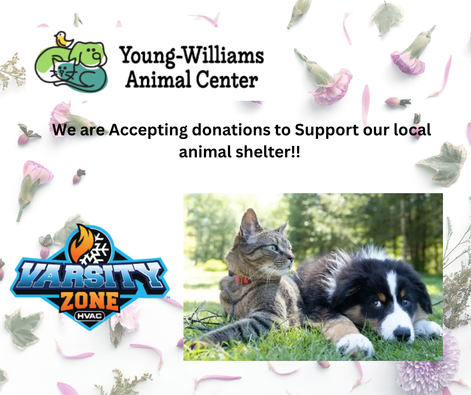 a puppy and a kitten laying in grass together